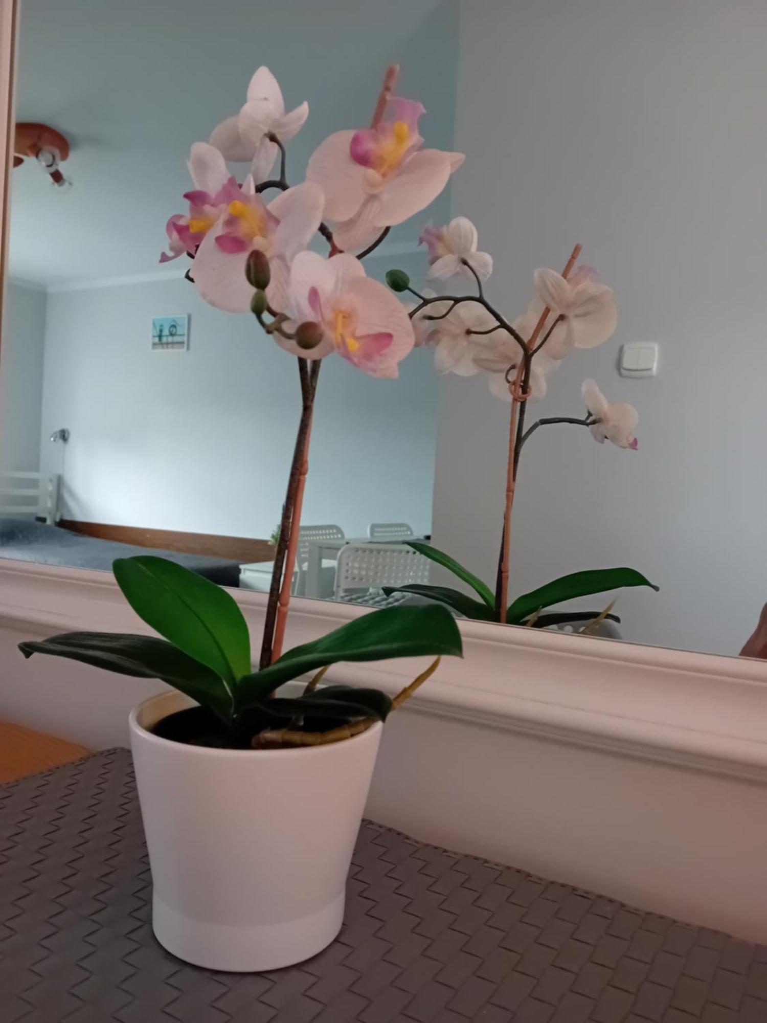 Grazyna Homestay